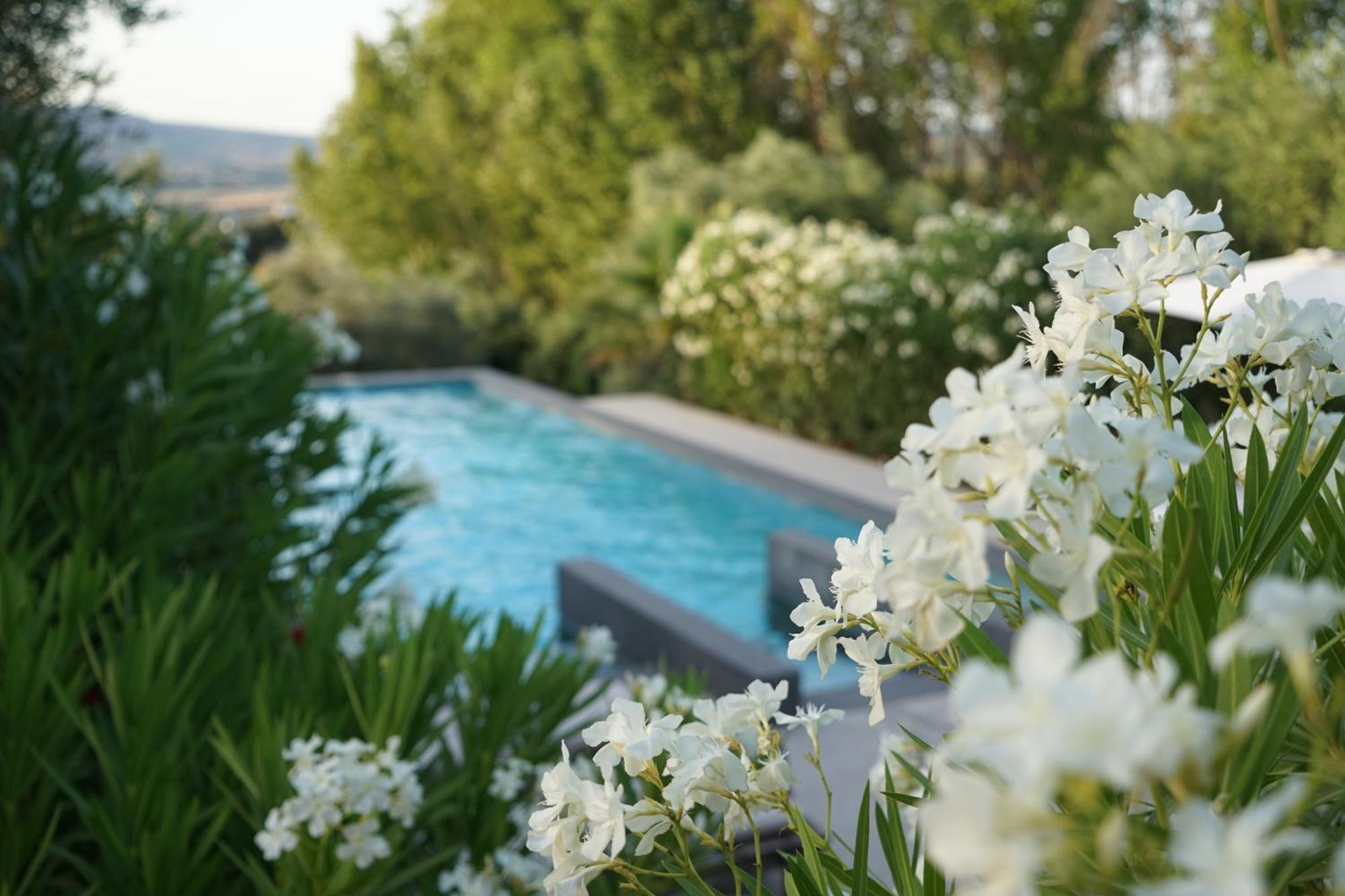 רונדה El Toro Blanco Luxury Villa In Andalucia מראה חיצוני תמונה