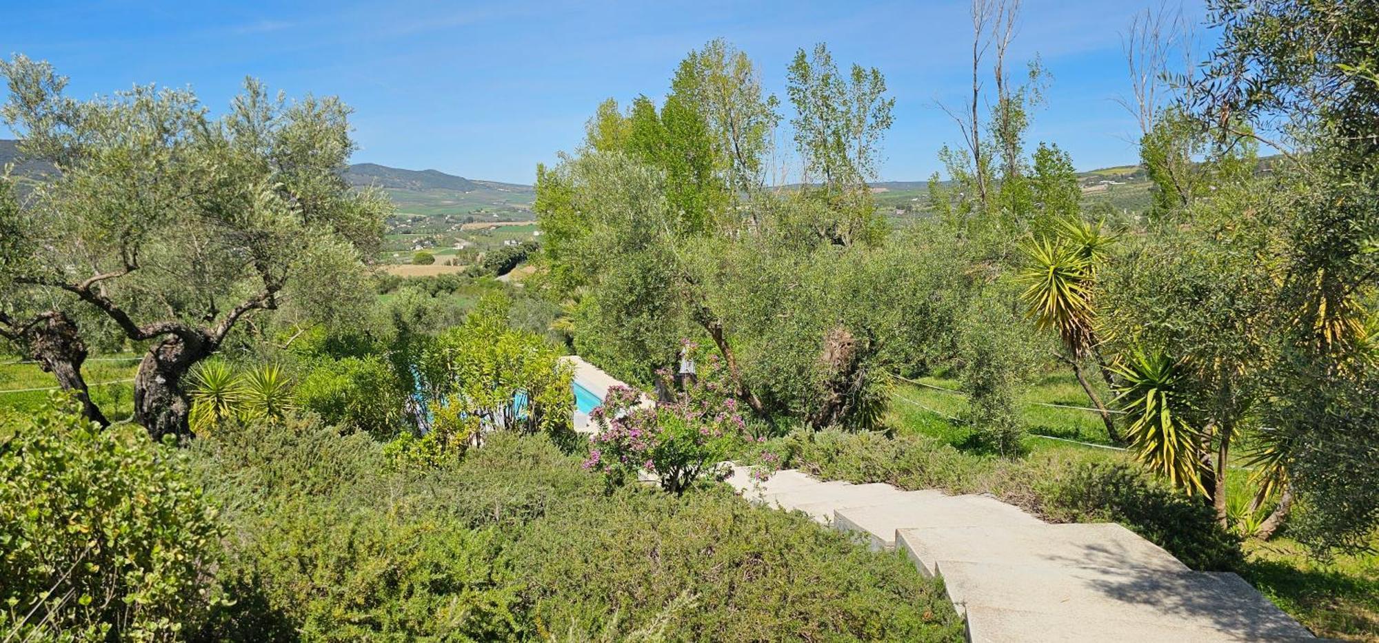 רונדה El Toro Blanco Luxury Villa In Andalucia מראה חיצוני תמונה